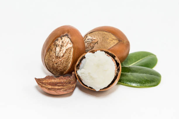 Story about Shea Butter